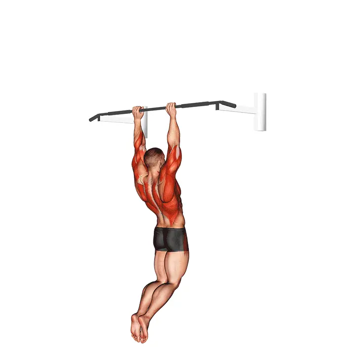muscle-up gif 720