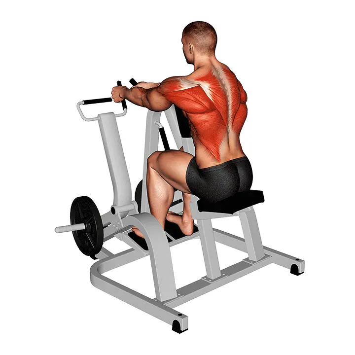rowing assis machine gif 720